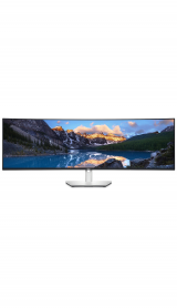 Dell U4924DW 49"